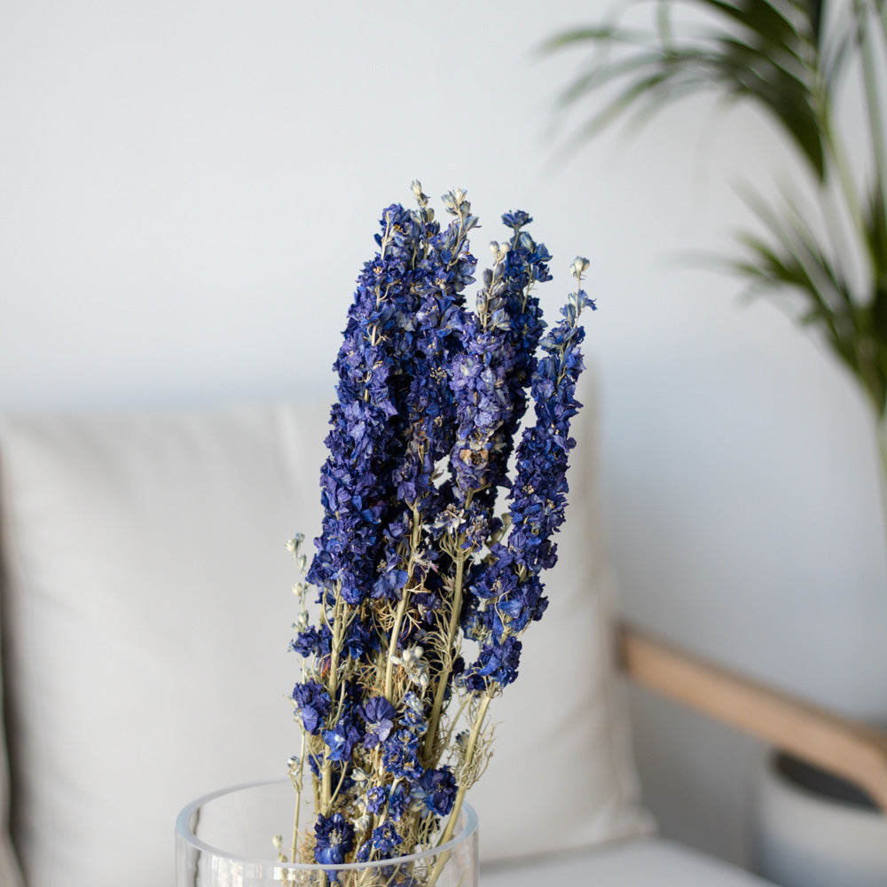 Getrockneter Rittersporn Delphinium in blau, Bund 60cm - mahina